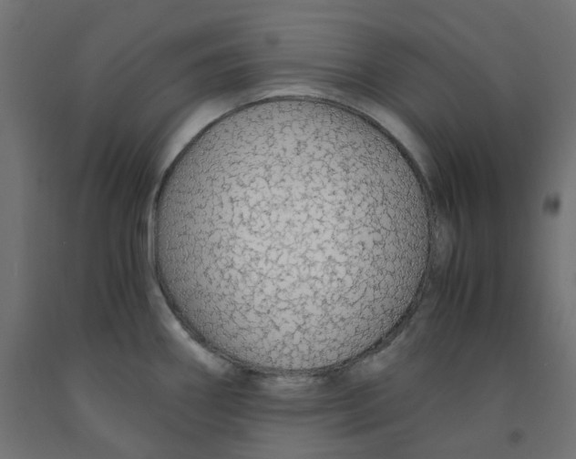 X0000091861290200710031654