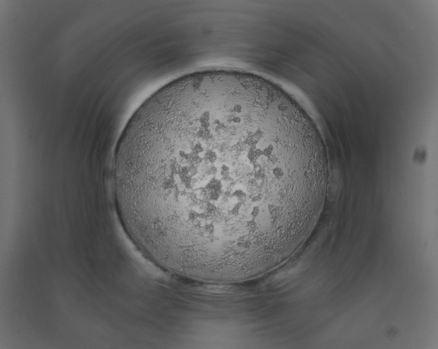 X0000091861295200710031654