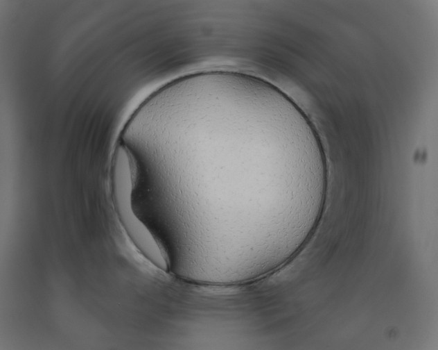 X0000091861296200710031654