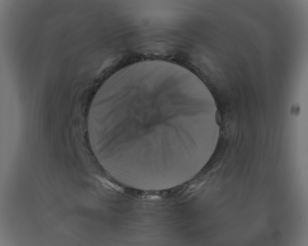 X0000091861297200710031653