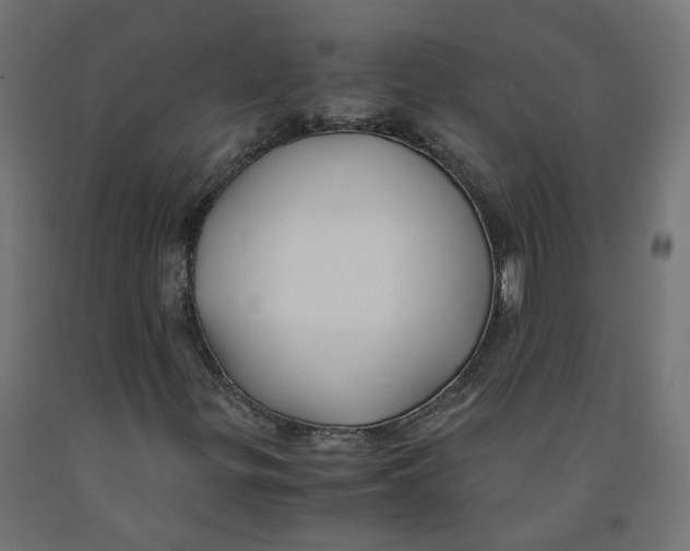 X0000091861299200710031653