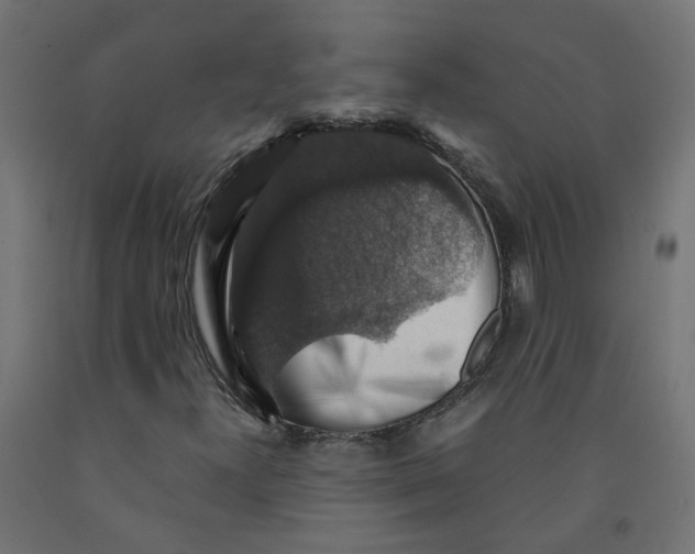 X0000091861300200710031653