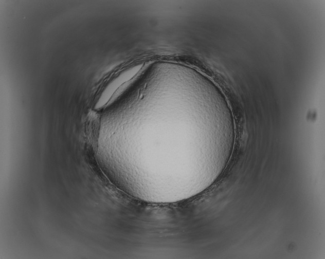 X0000091861301200710031653