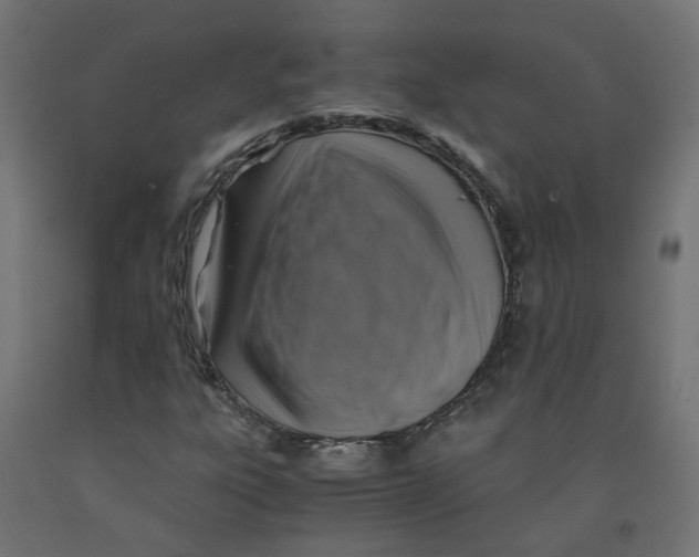 X0000091861303200710031653