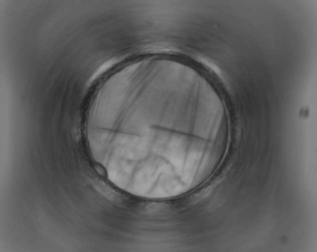 X0000091861306200710031653