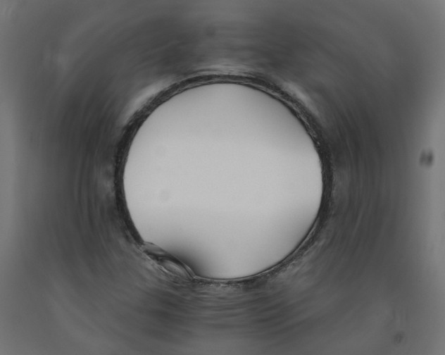 X0000091861307200710031653