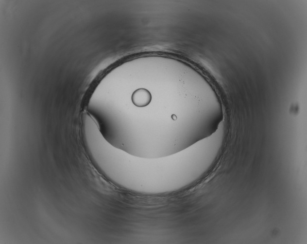 X0000091861308200710031653