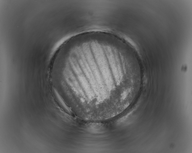 X0000091861310200710031653