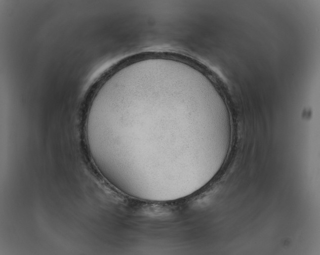 X0000091861311200710031653