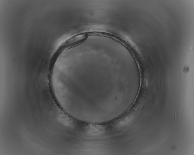 X0000091861312200710031653