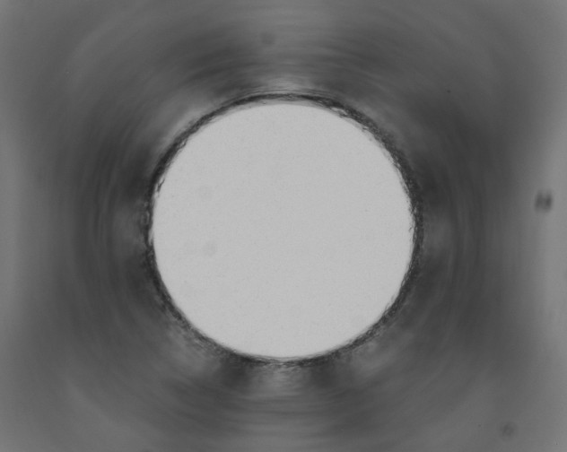 X0000091861314200710031653