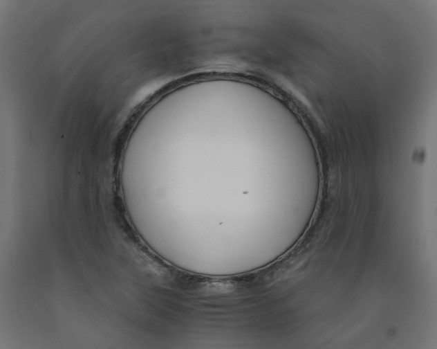 X0000091861315200710031653