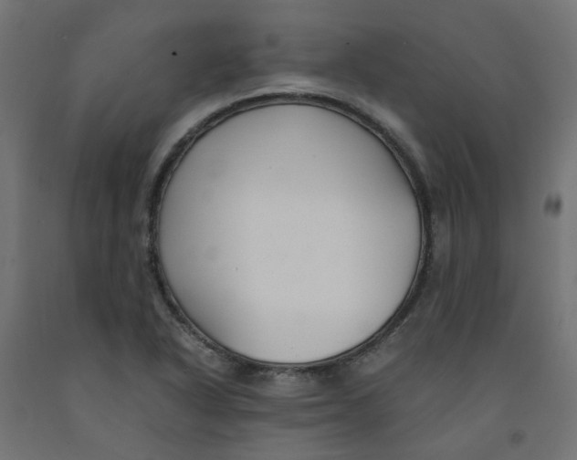 X0000091861318200710031653