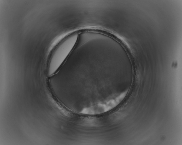 X0000091861319200710031653