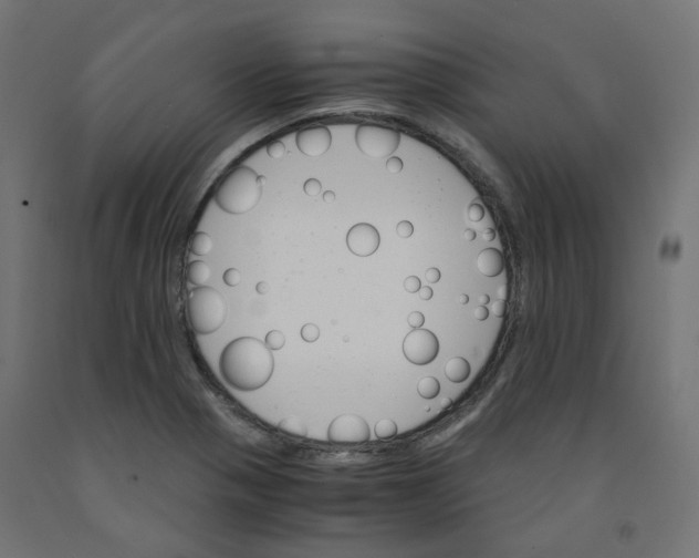 X0000091861321200710031653