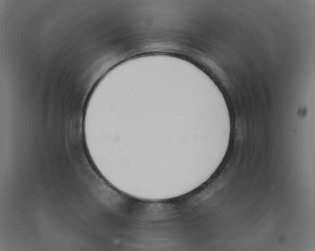 X0000091861322200710031653