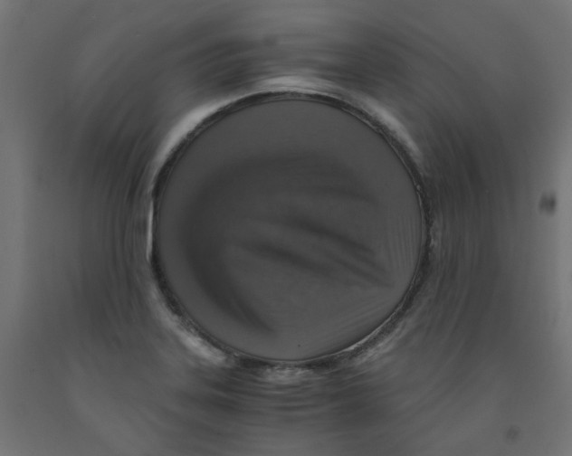 X0000091861323200710031653