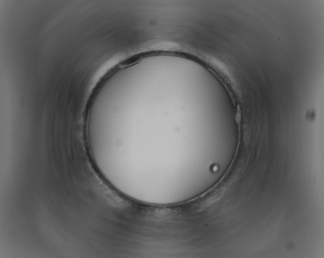 X0000091861326200710031653