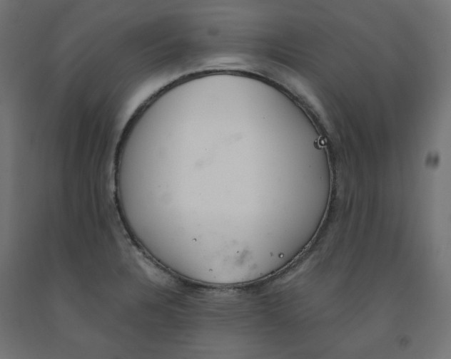 X0000091861328200710031653