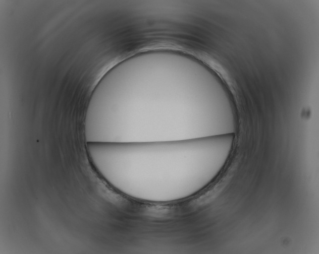 X0000091861329200710031653