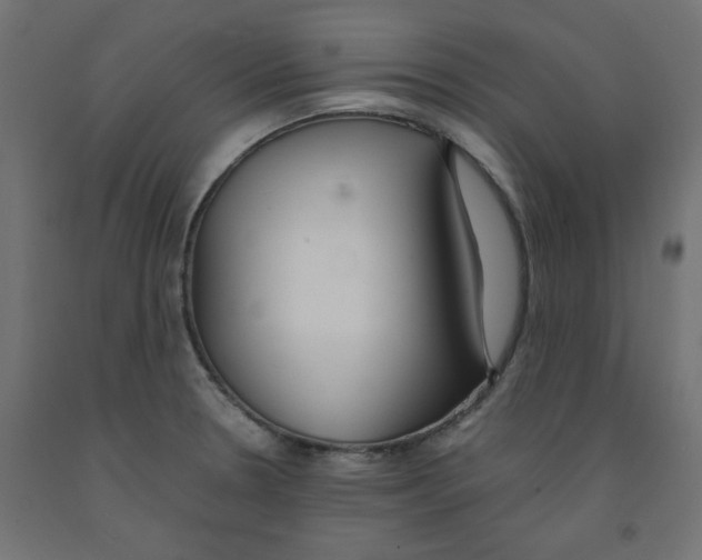 X0000091861330200710031653