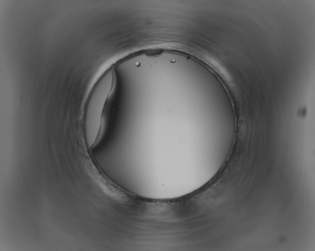 X0000091861332200710031653