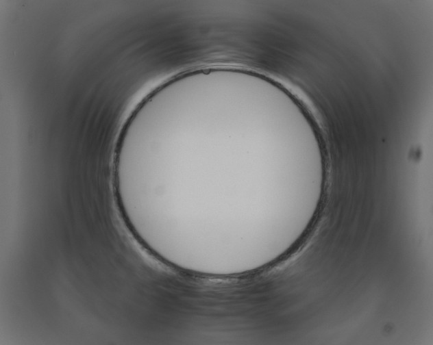 X0000091861333200710031653