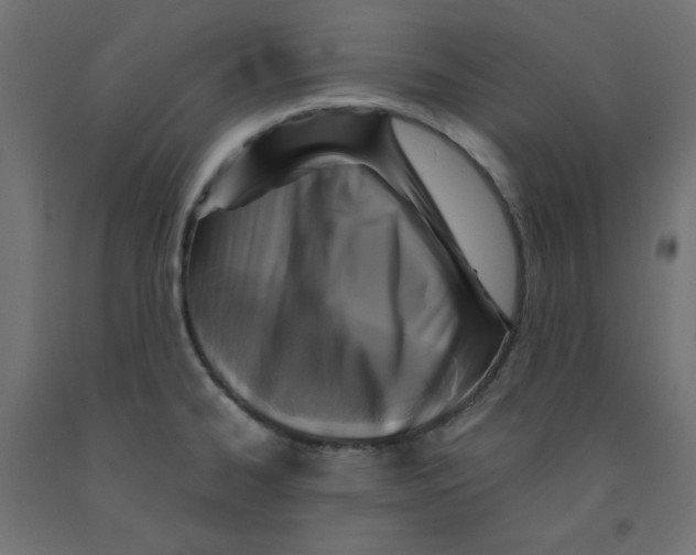 X0000091861334200710031653