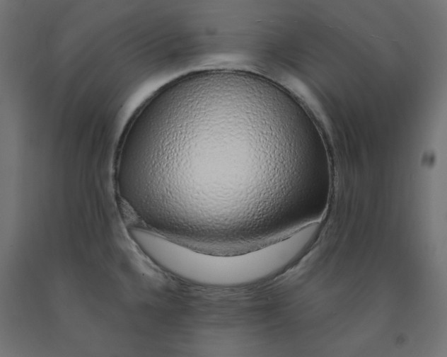 X0000091861336200710031654