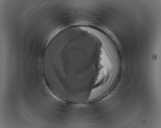 X0000091861337200710031654