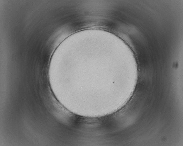 X0000091861338200710031654