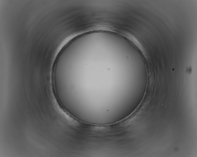 X0000091861339200710031654