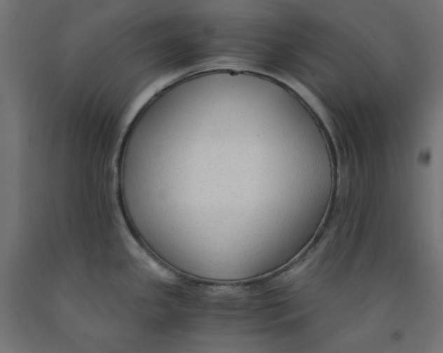 X0000091861341200710031654