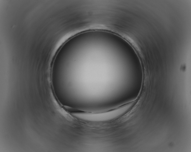 X0000091861342200710031654