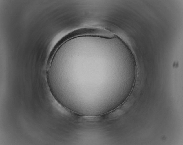 X0000091861344200710031654