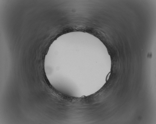 X0000091861345200710031653