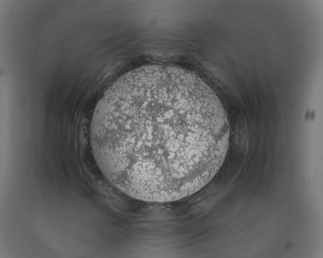 X0000091861346200710031653