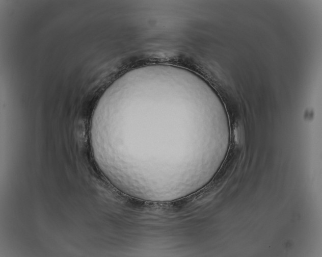 X0000091861347200710031653