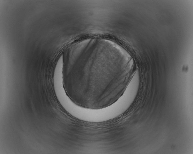 X0000091861348200710031653