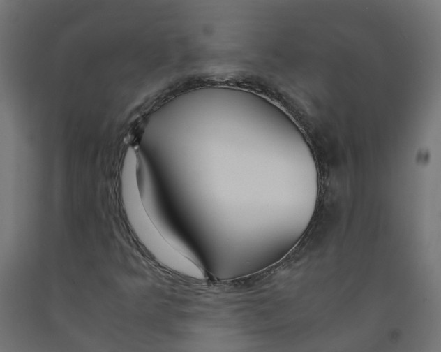 X0000091861349200710031653