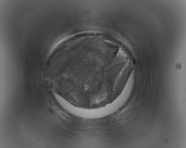 X0000091861352200710031653