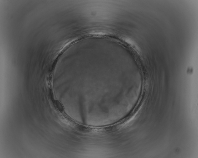 X0000091861353200710031653