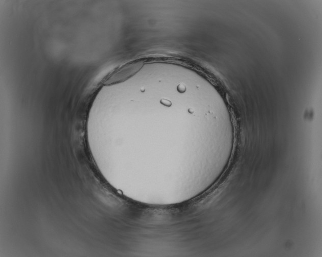 X0000091861355200710031653