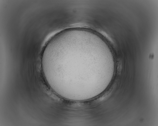 X0000091861358200710031653