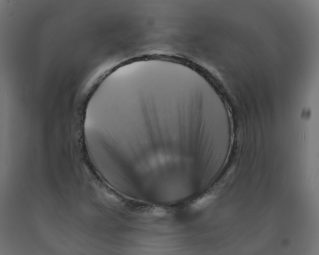 X0000091861359200710031653