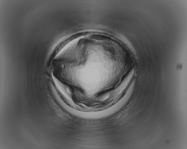 X0000091861360200710031653