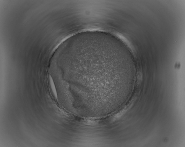 X0000091861361200710031653