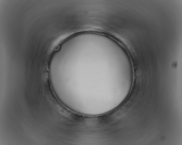 X0000091861363200710031653