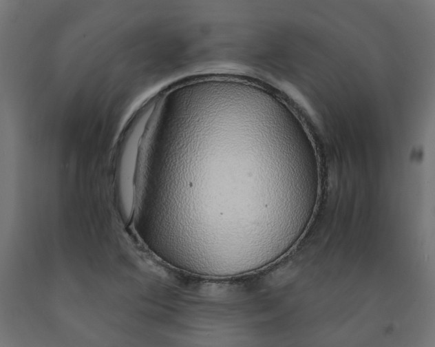 X0000091861364200710031653