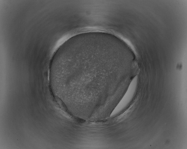 X0000091861365200710031653